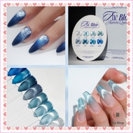 Aurora Queen x The Blue 8 Color Set Magnetic Nails