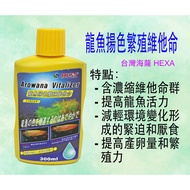 Taiwan HEXA Arowana Color Breeding Vitamin