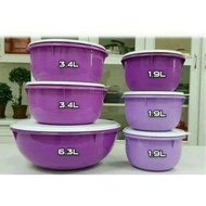 Set level purple bowl tupperware