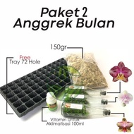 PAKET 2 ANGGREK BOTOLAN BULAN | 3 BOTOL ANGGREK BULAN PRIMARY HYBIRD