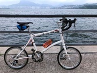 Dahon Dash X20,(20速公路摺車) 重8.7 kg(輕)