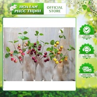 70cm artificial cherry apple branches, 16 cherry branches, artificial cherry branches, decorative_tr