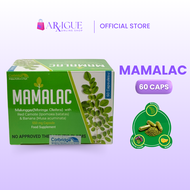 MAMALAC Malunggay Capsule + Red  Camote + Banana  60 capsules for Mothers