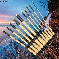 AUDRA Fishing Rod Fishing Tools Fishing Accessories Casting Rod Mini Rod 1.6-6.3 M Ultralight Spinni