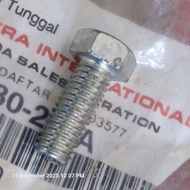 Honda 8x20 bolts. 92101-080-200A
