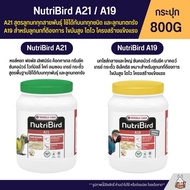 Nutribird A21 / A19 อาหารลูกป้อน  A21 สูตรลูกนกทุกสายพันธุ์ A19 สูตรพลังงานสูง (กระปุก 800G)