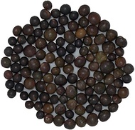 Portal Cool 40 Gramm: Win-ke Minnie (2) - Vicia sat L. - Win ke - (Ve - Sem02:Seeds Only