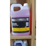 Johnson GLADE FM (AIR FRESHENER)