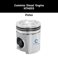 Piston 3081267 for NTA855 Cummins Diesel