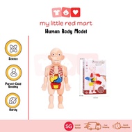 Learning Body Parts For Children Human Body Model