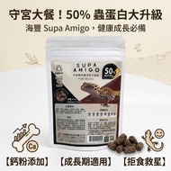 Tortoise Station | Gecko Feed Leopard Print Gecko Fat Tail Gecko Haifeng Eyelash Gecko Gecko Staple 