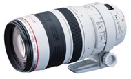 Canon EF 100-400mm F4.5-5.6L IS USM