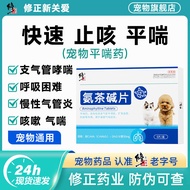 Correct New Care Pet Asthma Medicine For Dogs Asthma Cat Diabetes Asthma Asthma Powerful Effect Flat