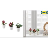 bunga hiasan  meja FEJKA Artifi potted plant w pot, set of 3, in/outdoor green/red6 cm