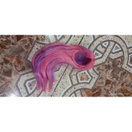 Barbie preloved10