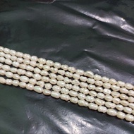 FRESH WATER PEARL (BIWA)