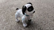音樂機械狗(Musical Mechanical Dog)