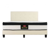 Vazzo 10" Euro Top Boston Mattress with Bed Frame Bundle