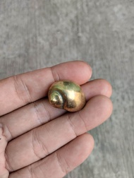 Koleksi Kol Buntet | Pajangan Keong Emas bahan Kuningan