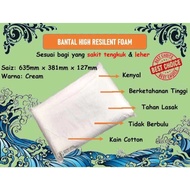 Original Bantal Asrama/ Bantal Hospital/ Bantal Homestay/ Bantal Pusat Latihan (High Resilent) / Pil