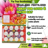 THAILAND FERTILIZER FOR LOTUS &amp; WATER LILY ( 12 TABLETS ) BAJA TUMBUHAN AIR N-P-K 9-23-20