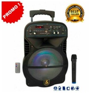 ORIGINAL Karaoke Avcrowns CH-1012 Bluetooth Trolley Speaker 1200W Black 2 Wireless Mic