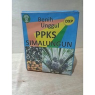 BIBIT POLONG KECAMBAH SAWIT DXP SIMALUNGUN ASLI UNGGUL BERSERTIFIKAT PPKS SIMALUNGUN UNGGUL TERLARIS