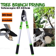 Tree Branch Pruning Cutter Shears Telescopic Wood Cutter Gunting Pokok Garden Plant Branch Pruning修枝