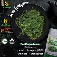 100g SEAGRAPES- LATOK - GREEN CAVIAR - SEA GRAPES - UMIBUDO - AROSEP