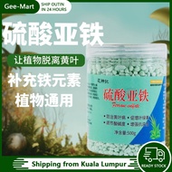 200g Soil Slow Release Fertilizer Compound Fertilizer Acidic Plant Universal Fertilizer Iron Fertili