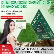 [Ready Stock]Seven Green Shampoo Soap Seven Green Shampoo Bar Platycladus Arborvitae Leaves and Usam