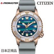 🇯🇵日本版 CITIZEN PROMASTER MARINE DIVER EO2023-00W  星晨手錶