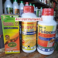 ยาเพลี้ยไฟ+ยาหนอน+สารจับใบคุมไข่(อะซีทรามิพริด20%SL+อะบา1.8%EC+ไวต์ออยล์67%EC)ชุดยาพิเศษ2.5ลิตร