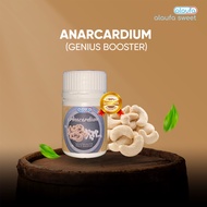 ALAUFA SWEET ANACARDIUM UNTUK GENIUS BOOSTER