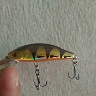 Minnow wader gold Tiger 5.5gram 5.5gram
