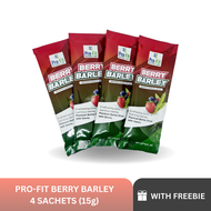 Trial pack 4 sachet Profit Berry Barley - Original Premium Barley Drink. Barley Grass Powder with Stevia anti aging helps boost immunity to prevent virus green BARLEY Juice Drink | herbal and pure organic green barley powder juice drink | FDA APPROVED |