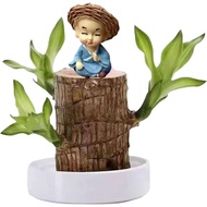 Brazilian Wood Plant Set, Brazilian Lucky Wood Plant with Panda Statue, Brazilian Wood Hydroponic Pl