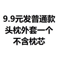 全城熱賣 - 汽車U型頭枕|不歪脖枕車載用品側靠兒童旅行睡眠U型記憶棉護頸枕（平行進口）