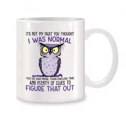 Mug It's Not My Fault You Thought I Was Normal Owl Mugs For Her Mom Birthday Gifts Novelty Coffee Ce
