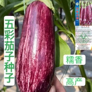 现货五彩茄子种子花皮茄子种子花长茄种子春秋季阳台盆栽四季蔬菜种子Colorful eggplant seed flower skin eggplant seed flower long eggplan