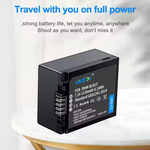 HQIX for Panasoinc Lumix DMC-GF1 GH1 G1 G2 G10 Camera DMW-BLB13 Dual Charger Battery
