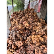 ASAM PAYA BUAH KELUBI / ubi kemili /buah ngeke 1 kg