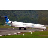 DIY Papercraft garuda crj1000