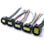 DJ71016Y-1.8 Series Waterproof 2Pin to 16Pin Connector with Cable Auto Wire Harness Male-female wi