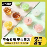 Beetle Adult Bedding Material Sawdust Beetle Jelly Unicorn Stag Beetle Beetle Moisturizing Bedding M