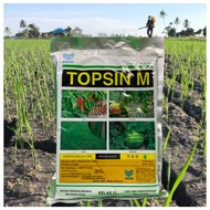 [ORIGINAL] 500g Topsin M ANCOM Thiophanate-methyl 70% Racun Kulat Fungicide Preventive