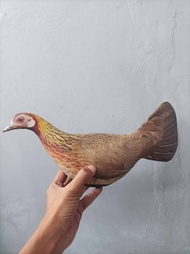 patung ayam hutan merah betina/decoy ayam hutan betina/alat pikat ayam hutan