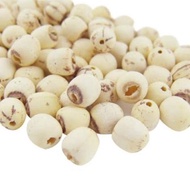 Medium Size Lotus Seeds/Lian zi 500gr ←