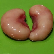 Ginjal Turkey/Kalkun/Ginjal ayam kalkun sepasang