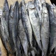 Ikan Asin Layang Rebus / Ikan Asin Klotok / Ikan Asin Peda - 1 Kg